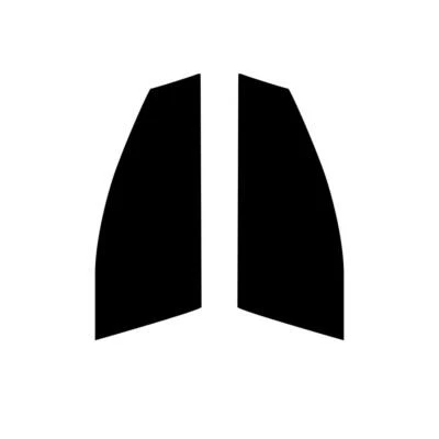 Pre Cut Car Window Tint for Hyundai Ioniq 2017+ Front Windows car Tinting Film - Image 1 of 4