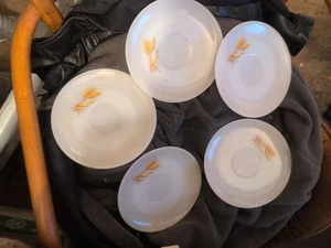 🌾 Lot 5 Vintage Fire King Golden Wheat Pattern Milk Glass 6" Saucers Plates USA - Picture 1 of 2