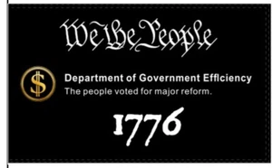 USA D.O.G.E. Department of Government Efficiency 3'X5' Flag ROUGH TEX® 100D - Picture 1 of 1