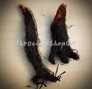MAGIA NEGRA PROTECCIÓN PARANORMAL NATURAL TALISMÁN HECHIZOS BRUJA RITUAL PAGANO HEXADECIMAL - Imagen 1 de 3
