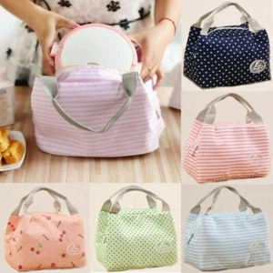 Portable Insulated Canvas Lunch Bag Thermal Food Picnic Cooler Box Tote Cute New - Picture 1 of 20