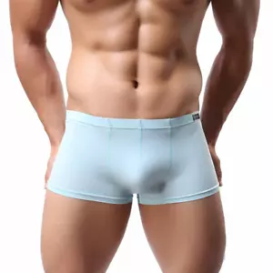 Men Underwear Ice Silk Panties Sexy Transparent Boxer Briefs Low-rise Underpants - Picture 1 of 37