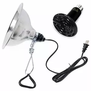 100W Reptile Heat Bulb &Clamp Light 8" Reflector &Digital Thermostat Controller - Picture 1 of 15