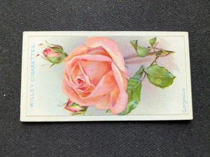 1926 Wills Roses Card # 16 Gorgeous (VG/EX) - Picture 1 of 3