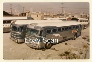 Vintage Photograph Greyhound Bus Buses 3.5”x5” 1971 - Picture 1 of 3