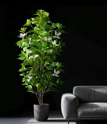 Árbol de enfoque artificial grande plantas de magnolia rama alto árbol de baniano imitación nandina Foto 1 de 3