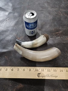 2 Small Unfinished Cow Horns Craft Projects Rustic Decor - Picture 1 of 8