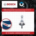 Pure/Lt 12v 15/55w H15 fits FORD FOCUS 10 to 20 Bosch Genuine Quality Product