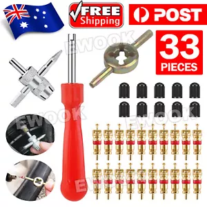33pcs Car Tyre Valve Repair Tool Sets With 4in1 Valve Stem Removal Tools New - Picture 1 of 10