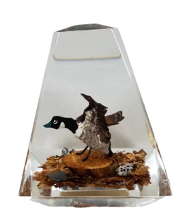 Pisapapeles Lucite vintage Goose 4" tallado y pintado a mano único Canadá - Imagen 1 de 15