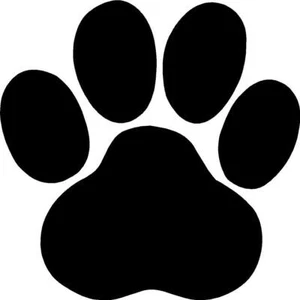 Calcomanía de vinilo pegatina Paw - Perro, gato, mascota cachorro amor decoración de pared ventana de coche - Imagen 1 de 12