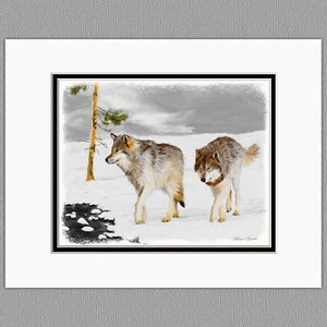 Wölfe im Schnee Wolf Original 8x10 Kunstdruck mattiert bis 11x14 - Bild 1 von 1