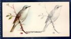 WHITETHROAT - #24- Phillips Bird Painting - Vintage Cigarette Card