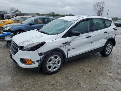 Trunk/Hatch/Tailgate Green Tint Glass Fits 17-19 ESCAPE 5022954 - Image 1 of 4