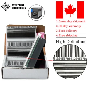 ✅ Printhead for Zebra ZT231 ZT211 ZT111 Thermal Printer 300dpi P1123335-013 ✅ - Picture 1 of 7