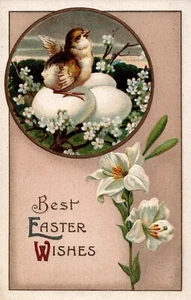 Chick Sitting on Eggs White Lilies Best Easter Wishes Postcard - Picture 1 of 2