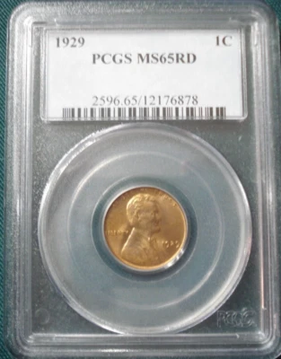 1929 Lincoln Cent MS65RD RED PCGS Wheat Penny - Image 1 of 4