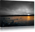 White Swan IN The Sunset Canvas Picture Wall Decoration Art Print