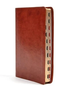 CSB Large Print Ultrathin Reference Bible : British Tan LeatherTouch : New - Picture 1 of 6