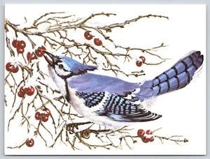 Tarjeta de felicitación artista John Cornacchio azul Jay Bird Navidad en blanco por dentro - Imagen 1 de 2