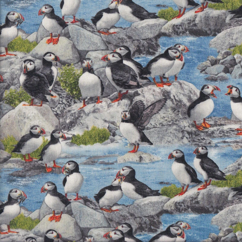 Puffins Birds Seaside Ocean Wildlife Quilting Fabric 1/2 Metre - image 1 of 1