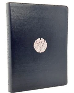 Biblia de estudio Reina Valera 1995 con herramientas de Exegesis Negro - Picture 1 of 12