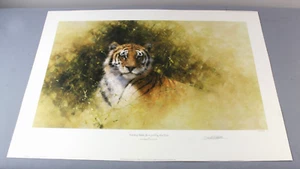 TIGER by David SHEPHERD original large SIGNED limited edition print 77.5x54.5cm - Picture 1 of 12