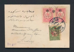 CUBIERTA DE PAVO 1914 PARA SIKJEDI, FINA FRANQUEO MÁXIMO 50pa con par de media luna 10pa - Imagen 1 de 13