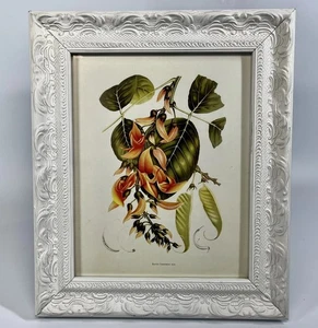 Marco Shabby Chic Estampado Floral Botánico Vintage Llama del Bosque 11x13 - Imagen 1 de 6