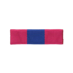 DIXMUDE DEFENSE NATIONALE BRONZE BARRETTE DEFNAT EPINGLES MINI MEDAILLE - Picture 1 of 1