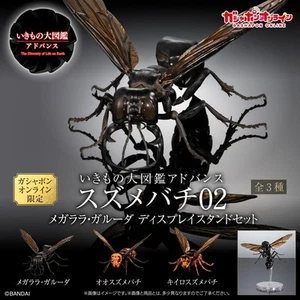 Creature Encyclopedia Advance Wasp 02 Display Stand Set All 3 Types Set Gacha - Picture 1 of 6