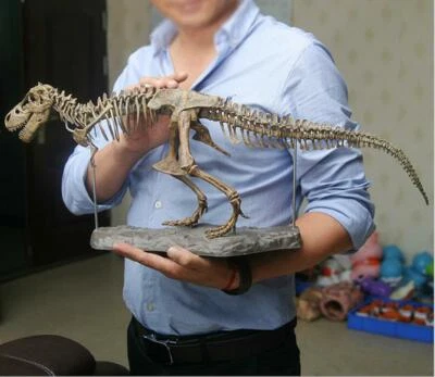 Dinosaur Skeleton Fossils Bones Puzzle Kids Toy Collection Animal 4D Model Decor - Image 1 of 4