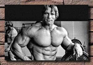 G-1238 Arnold Schwarzenegger Bodybuilding Fitness 20x30 24x36 Art Silk Poster - Picture 1 of 2