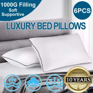 BedStory Luxury Comfy Bedding Pillows Hotel 1000g Soft Cotton Filling 2 Pack AU - Picture 1 of 17