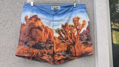 Desert Mens Swim Trunks W/ Mesh Penguin Munsing wear Sz 33 Photo Scenic Print - Image 1 of 4