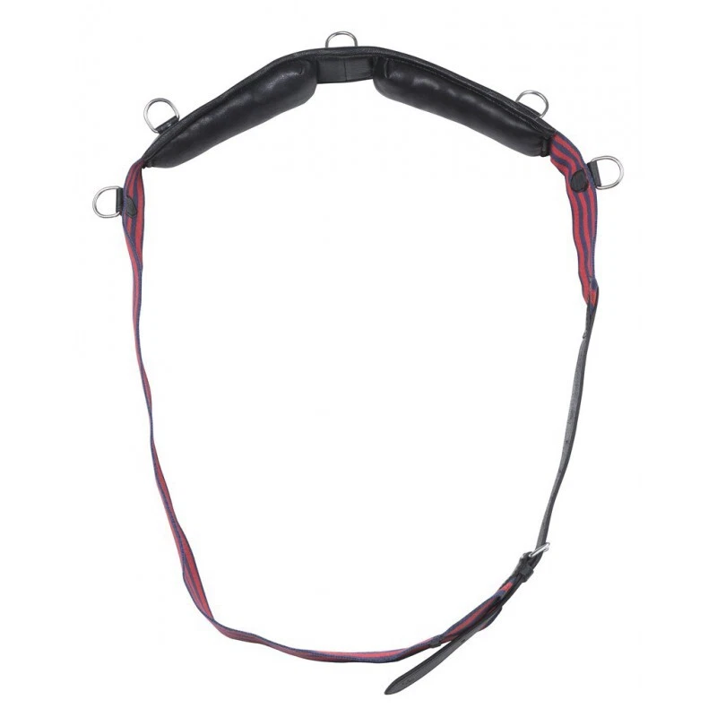 NORTON CLUB Longiergurt, Stoff Pony - Bild 1 von 1