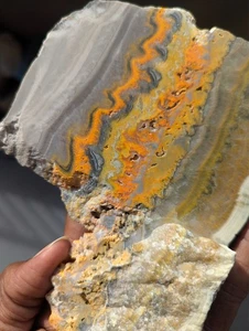 Bumblebee Jasper, slab, cabbing rough, lapidary, gemstone, Old Stock - Picture 1 of 5