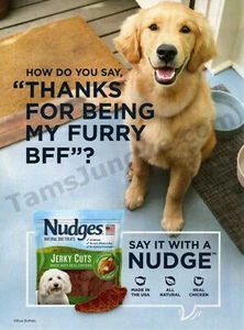 2021 Blue Buffalo Jerky Nudges Hundesnacks Leckerbissen alter DRUCK ANZEIGE einzigartiges Geschenk? (1931) - Bild 1 von 1
