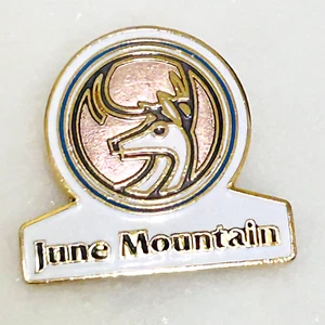 June Mountain Ski Pin Badge California Deer Skiing Resort Souvenir Travel Lapel - Picture 1 of 4
