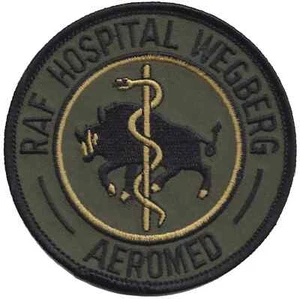 RAF Hospital Wegberg Embroidered Patch Badge - LAST FEW - Picture 1 of 4
