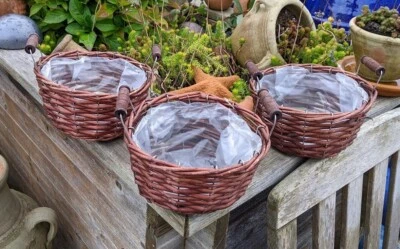 Neu! 3er Set Pflanzkörbe ø19 cm aus Weide m.Henkel Garten Blumentopf Pflanzgefäß - Bild 1 von 4