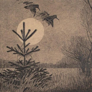 Eugen Osswald perdices en vuelo pintor de animales firmado lavado lápiz dibujo - Imagen 1 de 3
