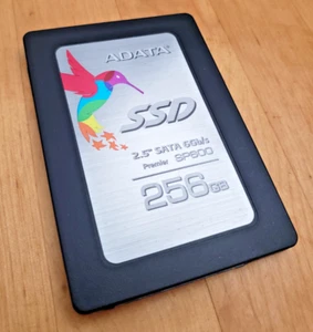 ADATA SP600 256 GB 2.5 in SATA III Solid State Drive ASP600SS-256GM - Photo 1/2