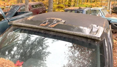 USED 1997-2004 Dodge Dakota Durango Pickup Truck Lund Sun Cab Visor PN 12147 - Image 1 of 4