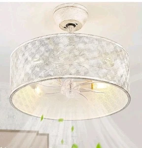 20" Caged Ceiling Fan with Lights, Boho Ceiling Fan with Remote - Picture 1 of 9