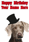 Weimaraner Dog Pps55 Squire Posh Paws Fun Cute Personalised Birthday Card