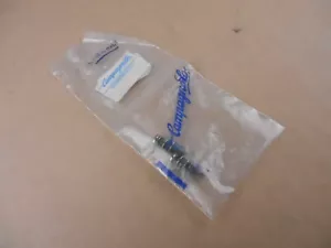 NOS Campagnolo Rear Derailleur Limit Screws & Springs for Super R and Record - Picture 1 of 3