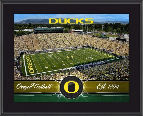 Ducks 10.5x13 Sublimated Team Plaque - Fanatics Cover