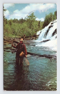 Postcard Trout Fishing in Michigan 1955 - Picture 1 of 2