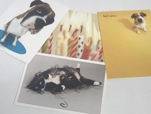 12 Portal Boxed Birthday Cards 4 Assorted Designs Greeting Cards + Envelopes Set - Picture 1 of 11